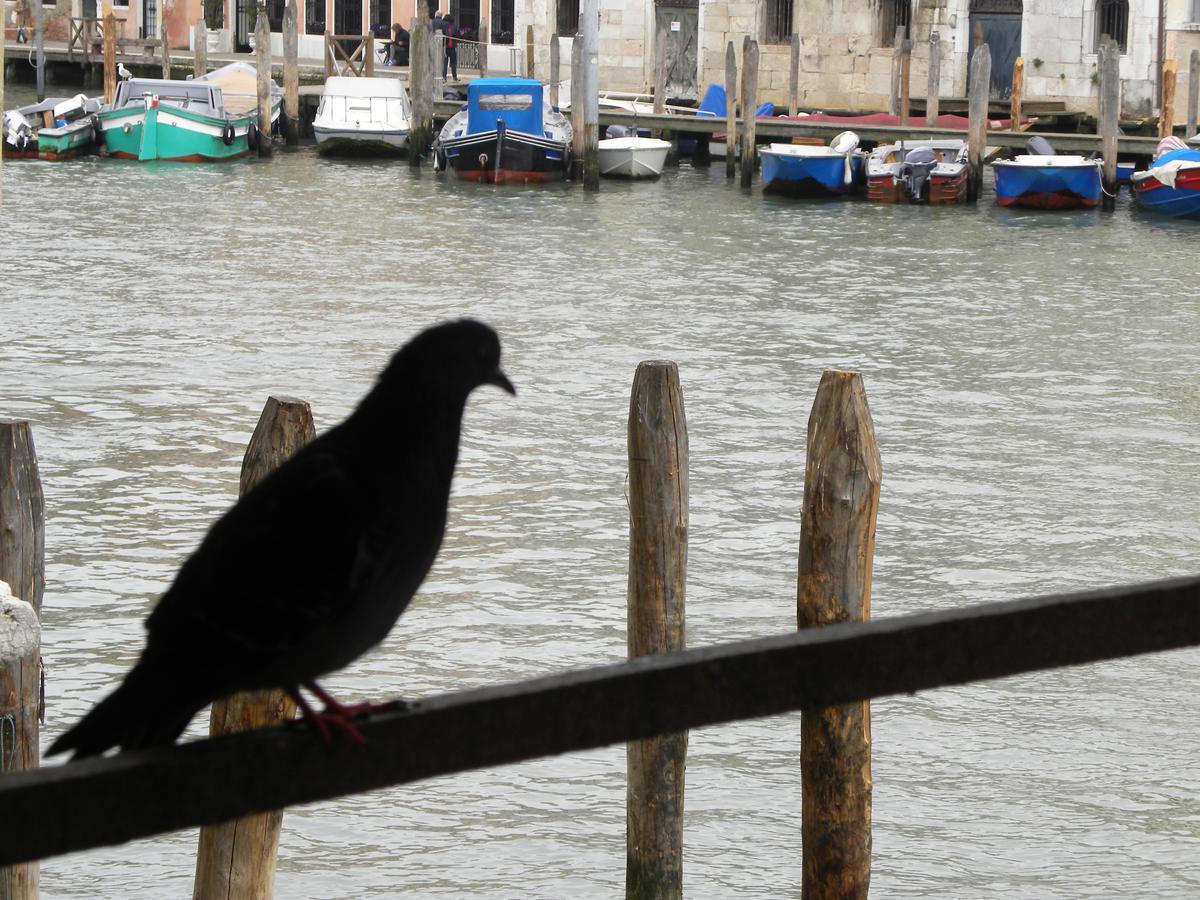 La Felice Canal Grande * Venezia